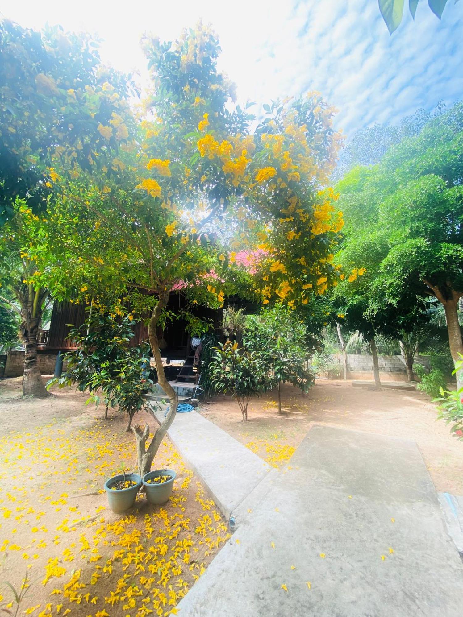 Nadia Resort Kohjum Koh Jum Zewnętrze zdjęcie