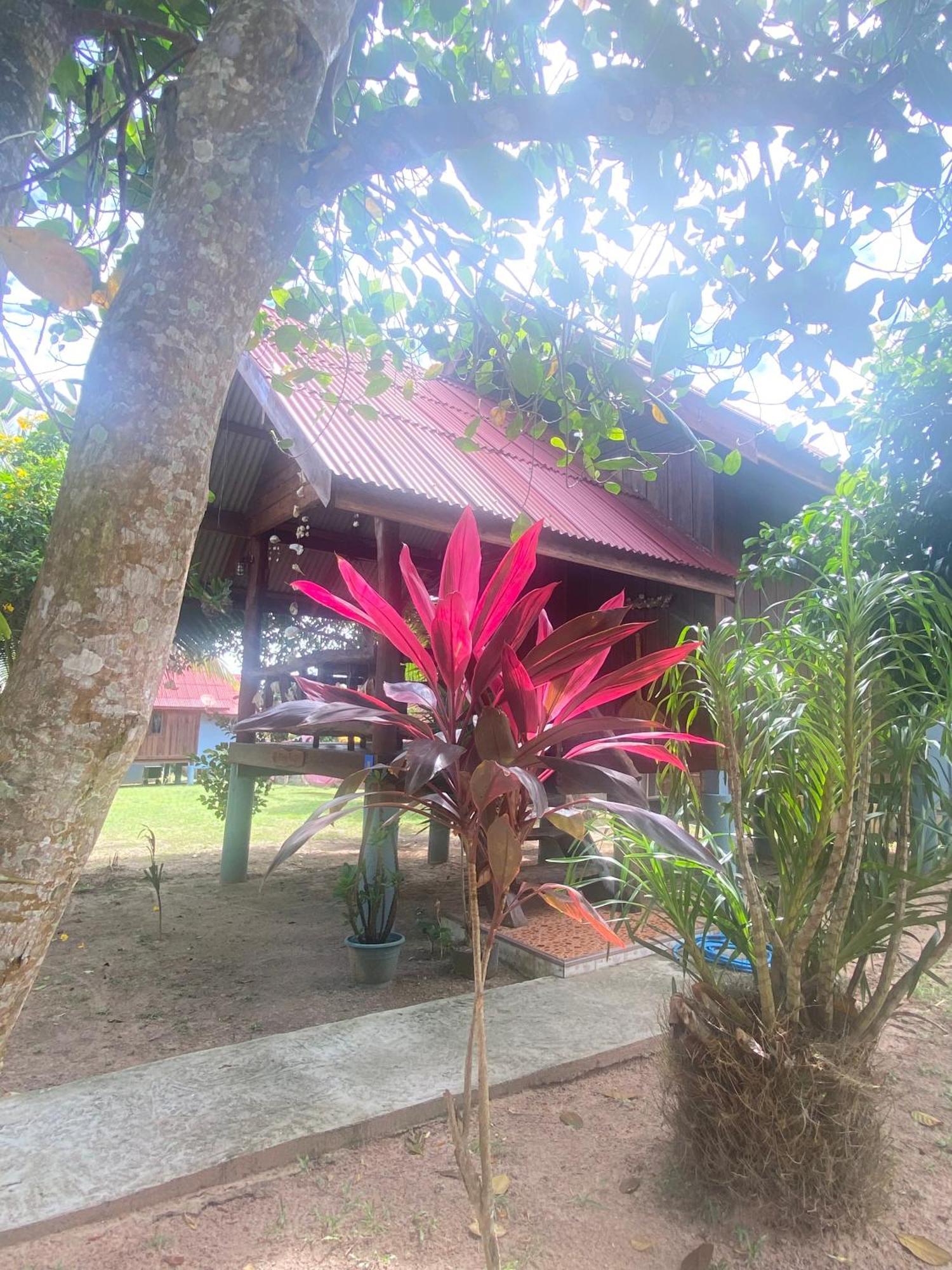 Nadia Resort Kohjum Koh Jum Zewnętrze zdjęcie